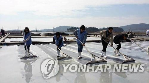 식문화·소비패턴 맞춰…신안천일염도 10kg 포장으로