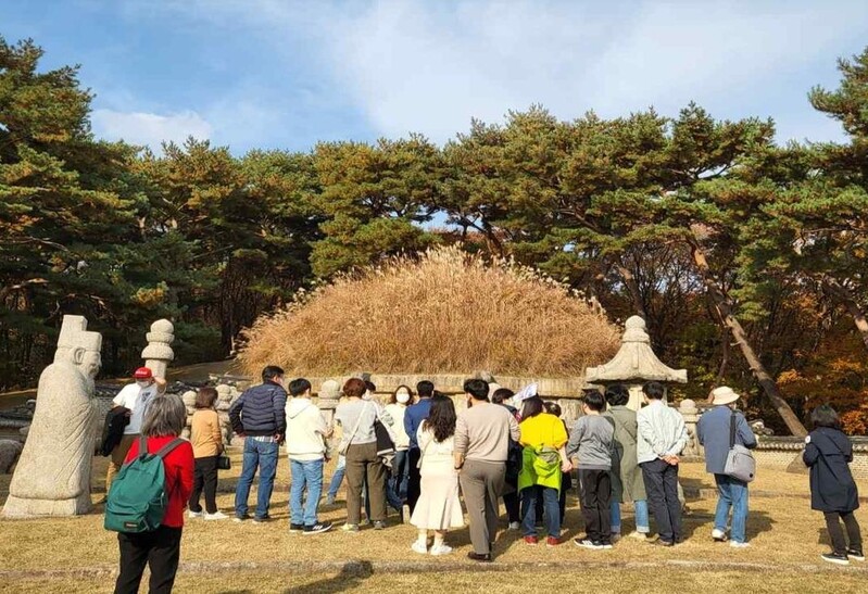 가을빛으로 물든 조선왕릉…억새 능침 오르고 산책해볼까