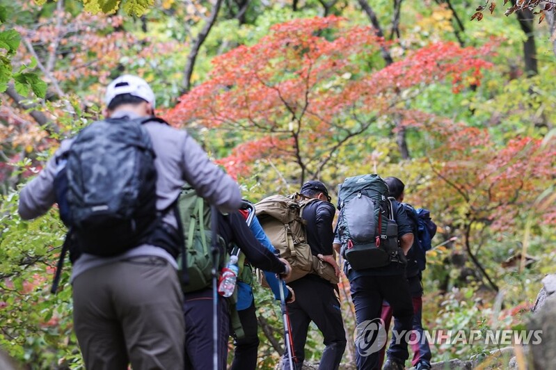 깊어진 가을…유명 산마다 등산객 행렬, 축제장은 북적