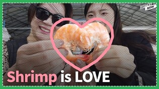 Enjoy autumn shrimps at a special farm~! You feel LOVE