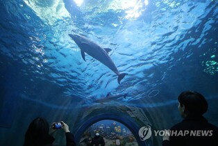 Visitors at Ulsan special Whale Culture surpasses 1 million in 3 yrs.