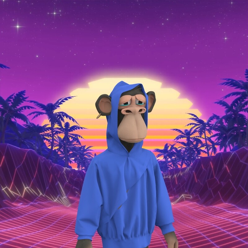 SSG닷컴 신세계백화점몰, 논노드 등 디자이너 브랜드 상품 판매