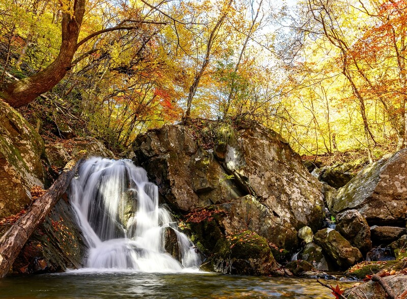 정선 항골 숨바우길 따라 원시림 비경 속으로