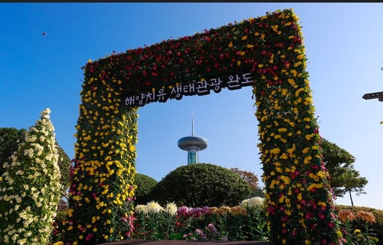 완도타워서 28일부터 국화전시회 열린다