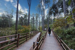 Gyeonggi Tourism Organization recommends six places to go to in fall