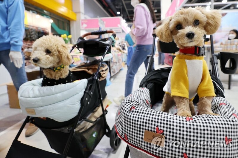 S. Korea's exports of pet products reach record high through Sept.