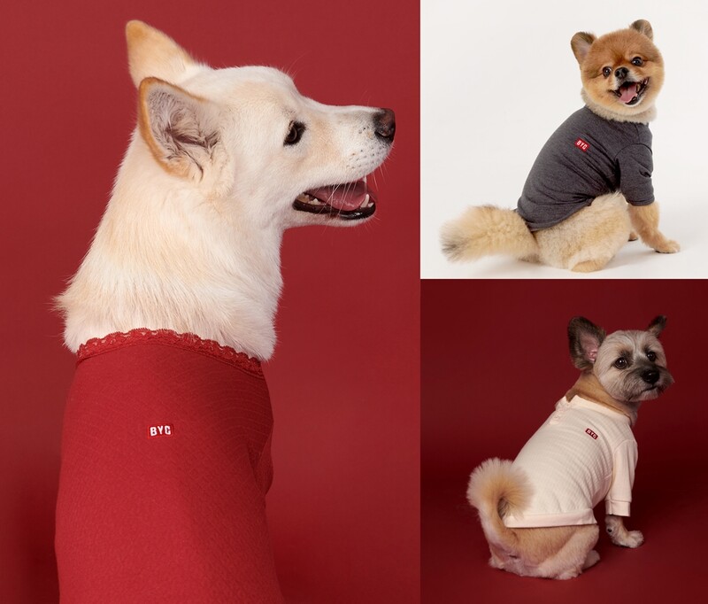 BYC, 반려견용 내의 3종 출시