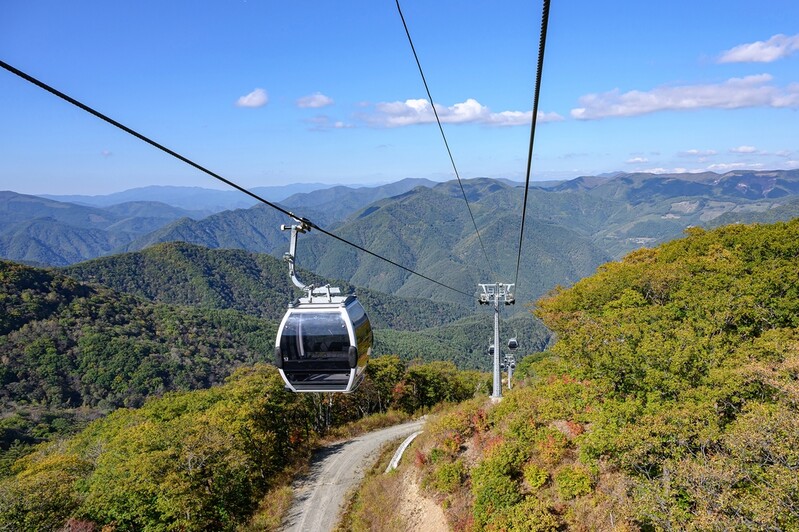 정선 가리왕산 케이블카 내년 1월 3일부터 유료 운영