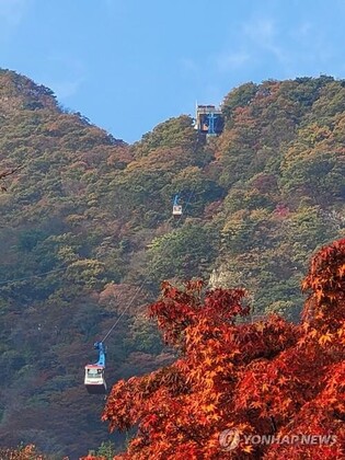 Jeongeup-si expects this weekend until November 12 to be peak time of Naejangsan fall leaves