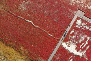 [K-Geography] Autumnal mud flat