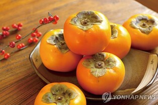 'Gimhae Jinyeong sweet persimmon festival' kicks off without opening ceremony and fireworks