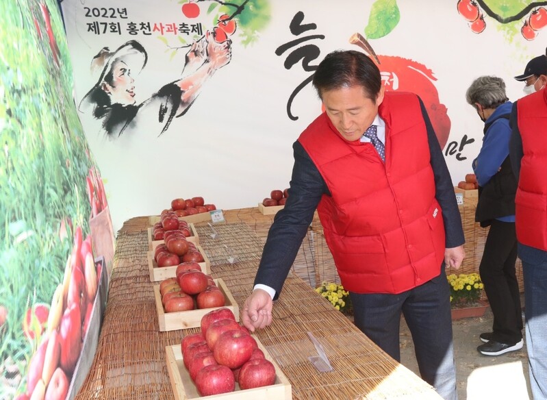 홍천 판매행사 위주 사과축제 폐막…매출 2억8천여만원