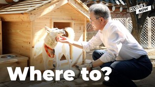 Where does the fate of the dogs, Kim’s gifts to former president Moon, lie?