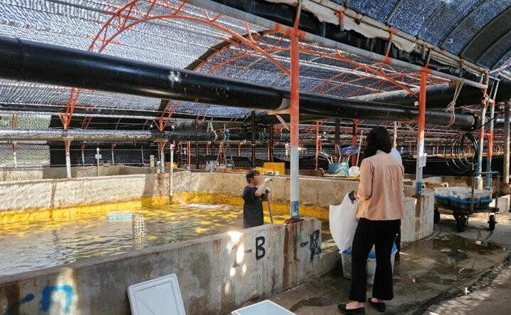 완도 수산물 믿고 먹어도 된다…군, 안전성·원산지 조사 강화