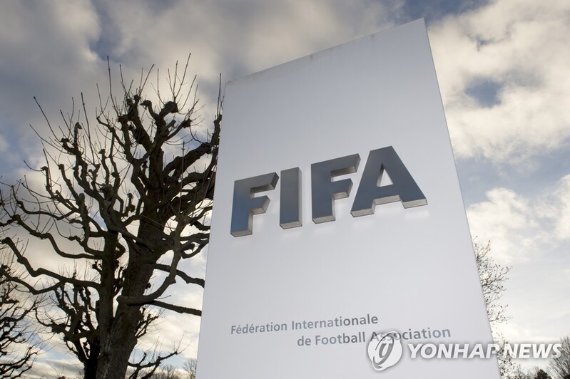 [월드컵] FIFA, 대회 기간 SNS 혐오 표현 막는다…신고 서비스