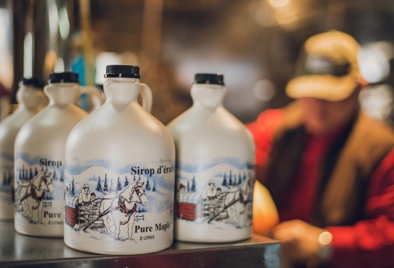 [여행소식] "'캐나다의 고로쇠 수액' 메이플 시럽 맛보러 오세요"