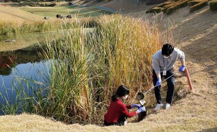 대전 골프장 4곳 잔류농약 검사서 '안전'