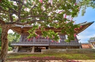 사진·영상으로 느끼는 한국 정원의 아름다움…창경궁서 전시회