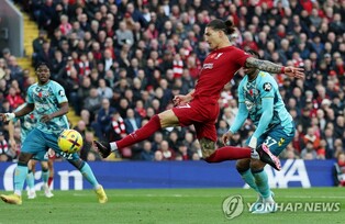 [월드컵] 전 우루과이 간판 골잡이 포를란 "누녜스가 핵심 열쇠"