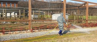 "황새 AI 감염 막아라" 한국교원대 차단방역 비상