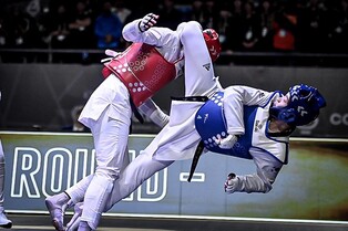 '손가락 부상에도'…여자태권도 간판 이다빈, 세계선수권 은메달