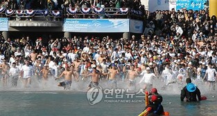 차가운 겨울 바다로…거제 국제펭귄수영축제 내달 10일 '풍덩'