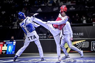 '간판' 장준 은메달…한국 태권도, 세계선수권 남자부 3연패