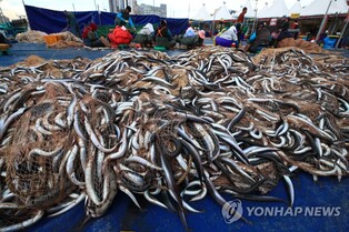 속초시안전관리실무위, 도루묵·양미리 축제 조건부 승인