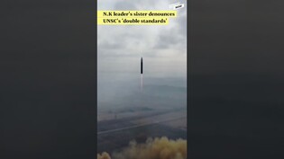 Seoul city conditionally approves World Cup mass cheering/ N.K leader's sister denounces UNSC