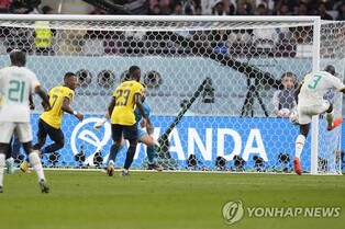 [월드컵] 쿨리발리 결승골…세네갈, 에콰도르 꺾고 20년 만에 16강 진출
