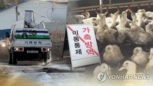 S. Korea reports additional bird flu case at duck farm
