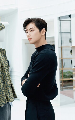 Photos of Cha Eun-woo at 'Dior Men Fall 2023' drops