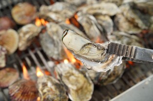 "바다의 우유 맛보세요" 보령 천북 굴단지서 3∼11일 홍보 행사