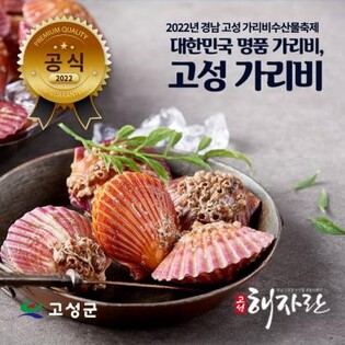 물오른 경남 고성 가리비 온라인 판매…9일까지 수산물축제