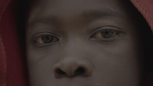 돌아온 KBS 'UHD 환경스페셜' 시즌2…오는 3일 첫선