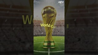 South Korea's final Group H match against Portugal/Korea-EU responses to US Inflation Reduction Act