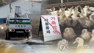 S. Korea reports more bird flu cases at duck farms
