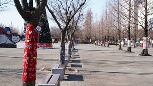 고양시와 나무의 따뜻한 한겨울 49일 동행 내주 시작된다