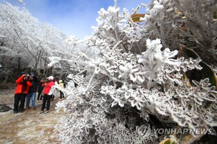 제주 내국인 관광객 1천300만명…최다 기록 경신 예상