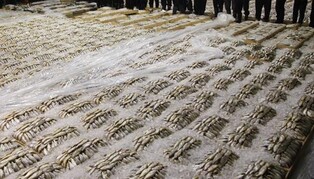 '살 통통 맛 좋은' 가을 참조기가 안 잡힌다