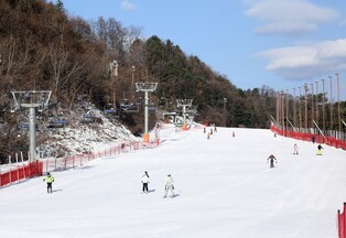 '전철 타고 스키 즐기러 가자' 춘천 엘리시안강촌 스키장 개장
