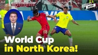 North Korea's commentary of South Korea's World Cup defeat to Brazil