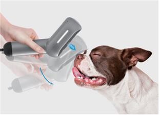 재개발조합 전자투표, 반려동물 비문 등록 가능해진다