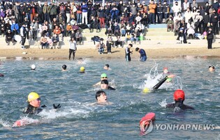 추위는 추위로 날린다…겨울 바다에 인간 펭귄들 '풍덩'