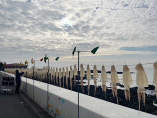 [K-Geography] Drying Squid