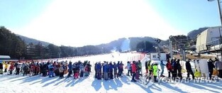 'i love winter'... visitors at ski resorts and camellia flower sights