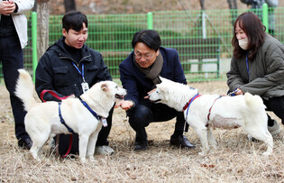 [Moment to Focus] N.K. dogs gifted to Moon find new home