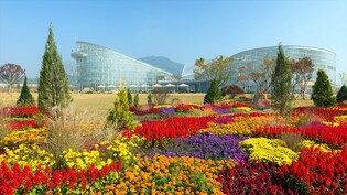 국내 최대 사계절 온실 세종수목원 '한국관광 100선' 선정