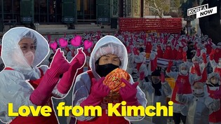 8000kgs of Kimchi delivering love~ 2022 Jogyesa Temple Kimchi Sharing Event
