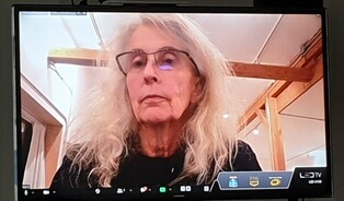 Kiki Smith's private exbition 'Free Fall' opens today